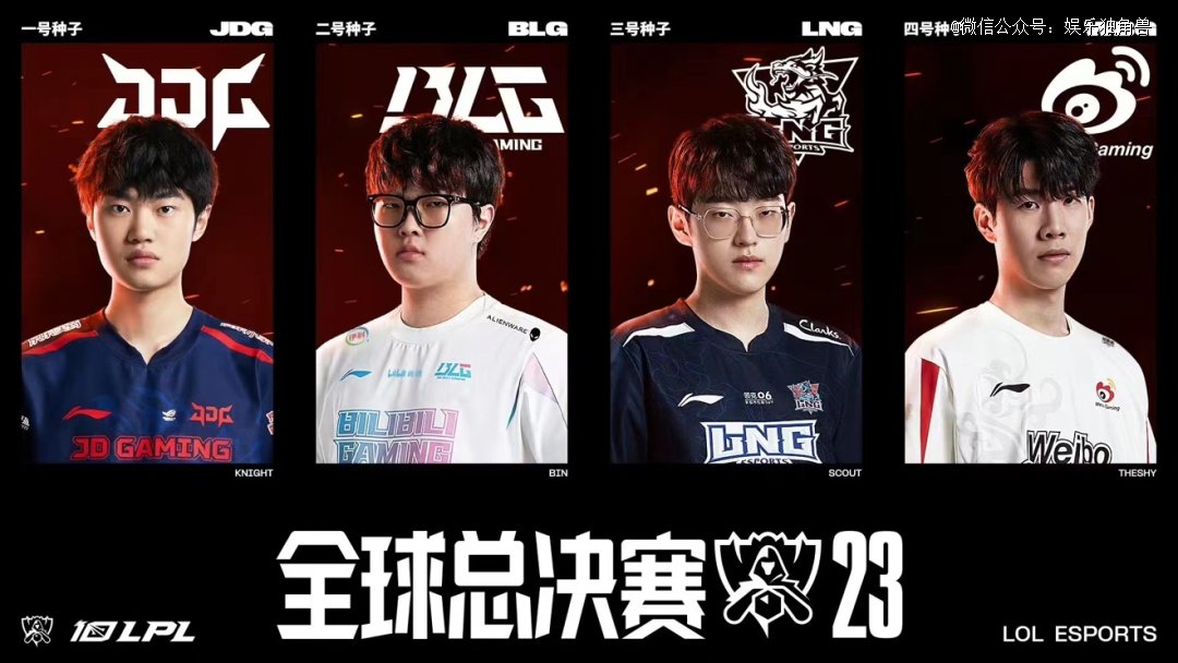 球迷的支持 球迷的支持