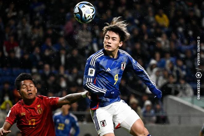 全面覆盖 全面覆盖