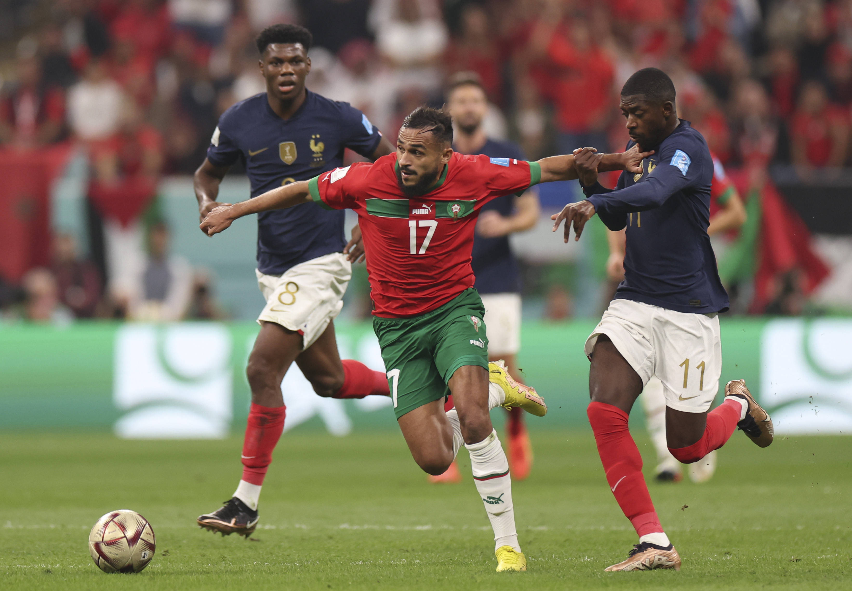 行与专业精 行与专业精