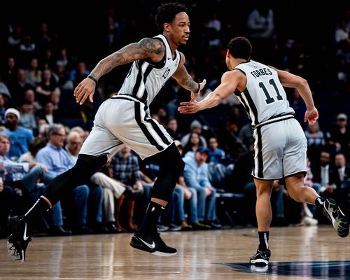 的拼盘组合 的拼盘组合